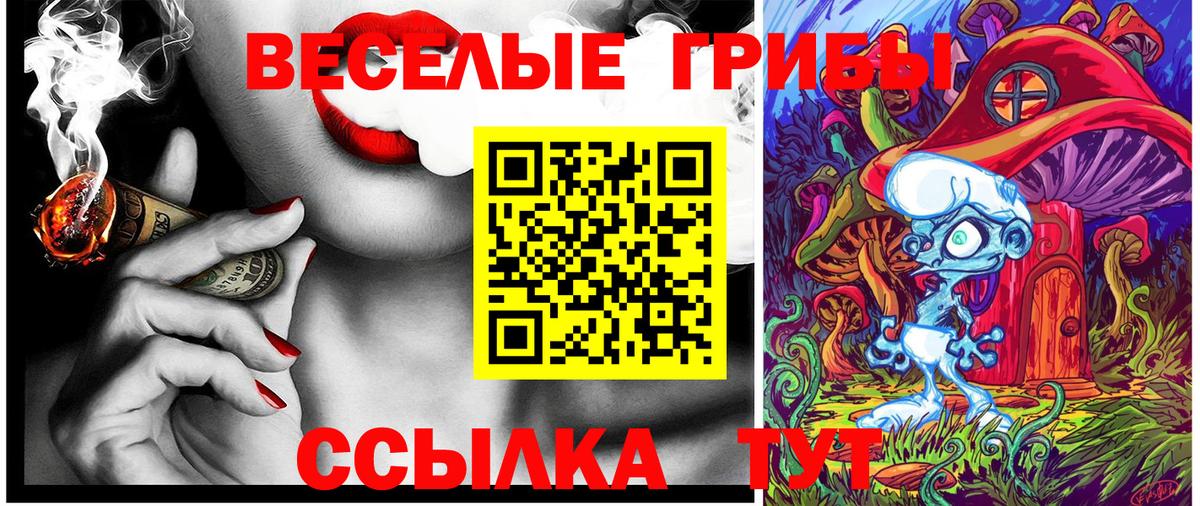 Галлюциногенные грибы Psilocybe Карпинск