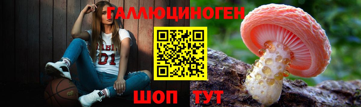 Галлюциногенные грибы Cubensis  Вход с VPN  Карпинск  Псилоцибиновые грибы прущие грибы 